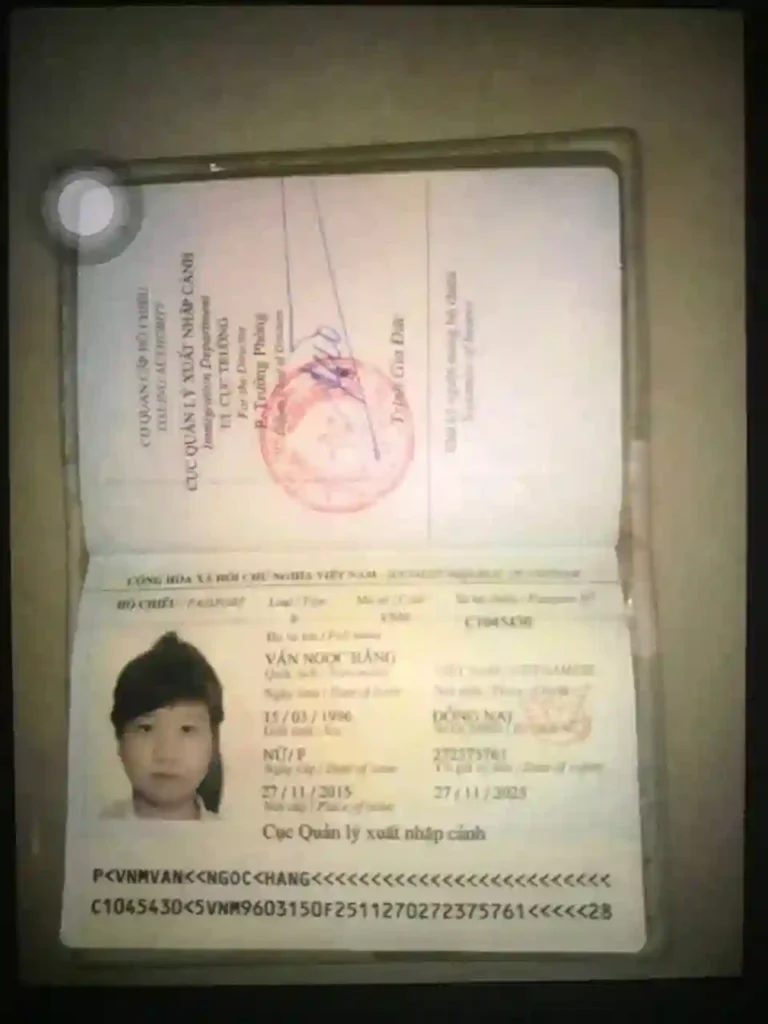 Van Ngoc Hang1