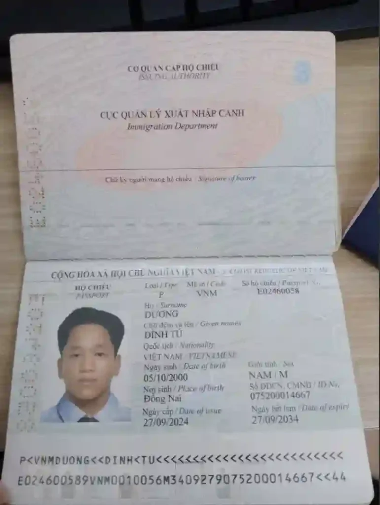 duong dinh tu 2