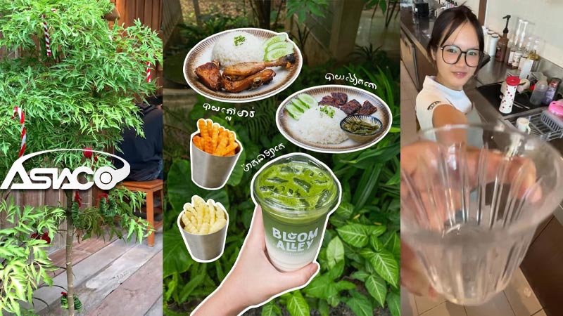 Bloom Alley Cafe + Eatery